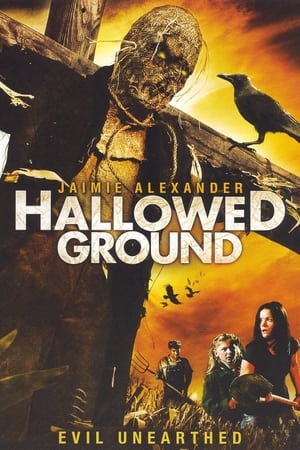 En dvd sur amazon Hallowed Ground