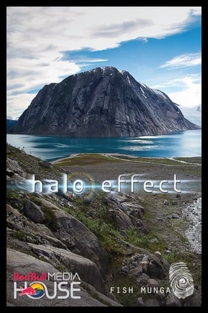En dvd sur amazon Halo Effect