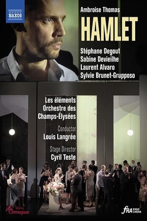 En dvd sur amazon Hamlet : Opéra-Comique