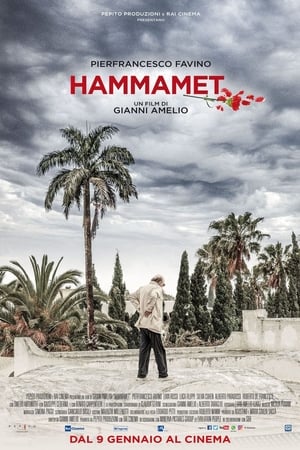 En dvd sur amazon Hammamet