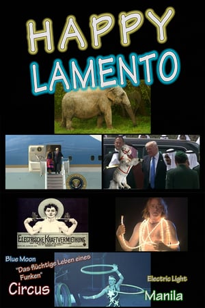 En dvd sur amazon Happy Lamento