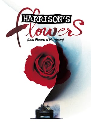 En dvd sur amazon Harrison's Flowers