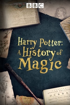 En dvd sur amazon Harry Potter: A History Of Magic
