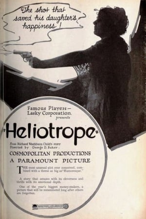 En dvd sur amazon Heliotrope