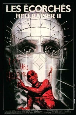 En dvd sur amazon Hellbound: Hellraiser II