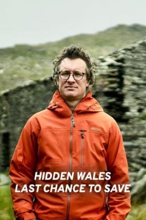 En dvd sur amazon Hidden Wales: Last Chance to Save