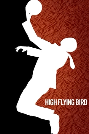 En dvd sur amazon High Flying Bird