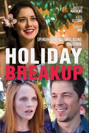 En dvd sur amazon Holiday Breakup