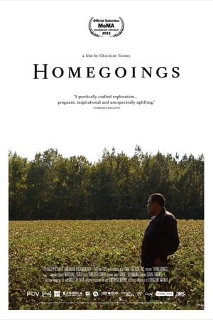 En dvd sur amazon Homegoings