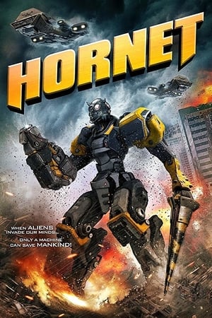 En dvd sur amazon Hornet