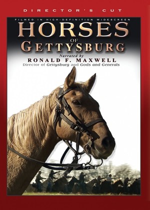 En dvd sur amazon Horses of Gettysburg