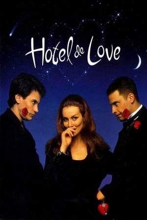 En dvd sur amazon Hotel de Love