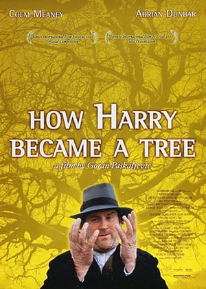 En dvd sur amazon How Harry Became a Tree
