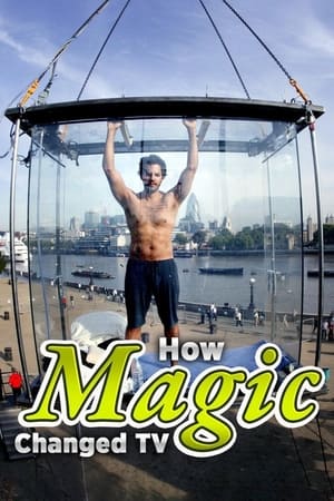 En dvd sur amazon How Magic Changed TV