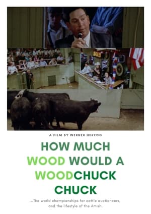 En dvd sur amazon How Much Wood Would a Woodchuck Chuck: Beobachtungen zu einer neuen Sprache