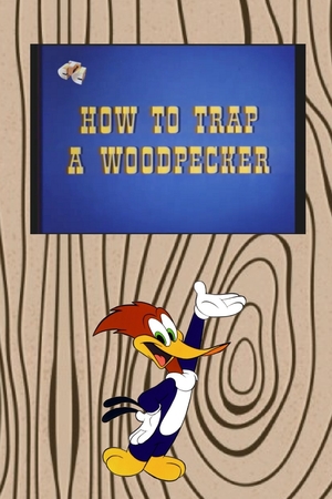 En dvd sur amazon How to Trap a Woodpecker