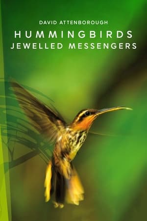 En dvd sur amazon Hummingbirds: Jewelled Messengers