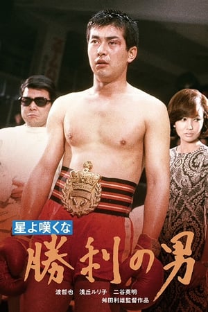 En dvd sur amazon 星よ嘆くな　勝利の男