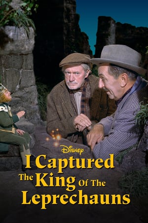 En dvd sur amazon I Captured the King of the Leprechauns