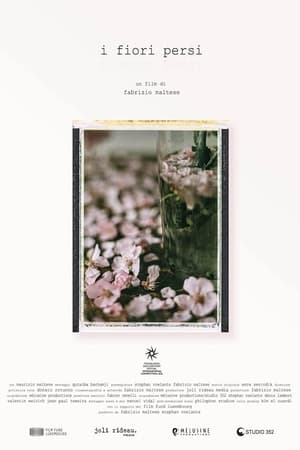 En dvd sur amazon I fiori persi