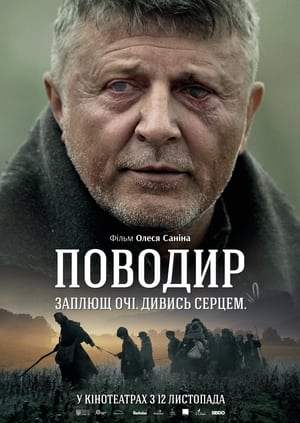 En dvd sur amazon Поводир