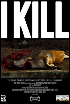 En dvd sur amazon I Kill