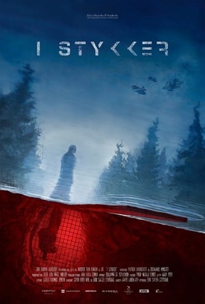 En dvd sur amazon I stykker