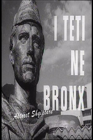 En dvd sur amazon I teti në bronx