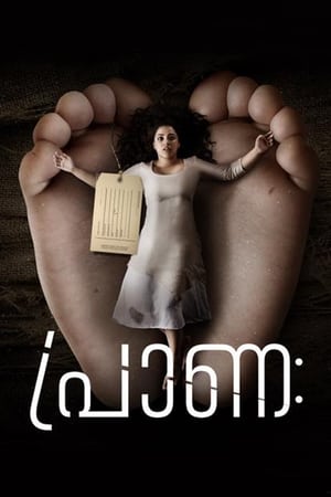 En dvd sur amazon പ്രാണഃ