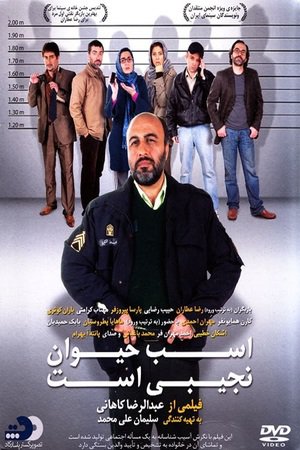 En dvd sur amazon اسب حیوان نجیبی است