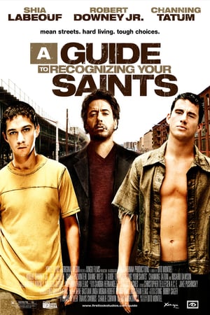 En dvd sur amazon A Guide to Recognizing Your Saints