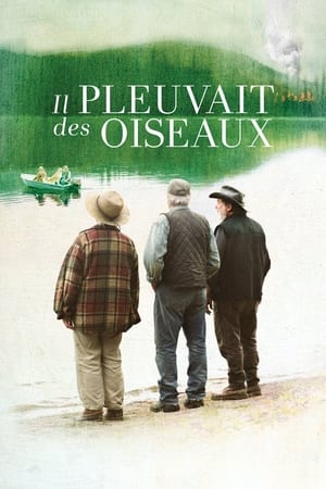 En dvd sur amazon Il pleuvait des oiseaux