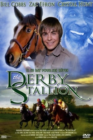 En dvd sur amazon The Derby Stallion