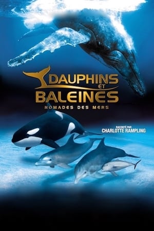 En dvd sur amazon IMAX Dolphins and Whales: Tribes of the Ocean