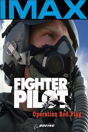 En dvd sur amazon Fighter Pilot: Operation Red Flag