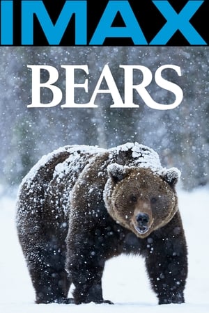 En dvd sur amazon Bears