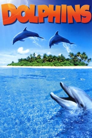 En dvd sur amazon Dolphins