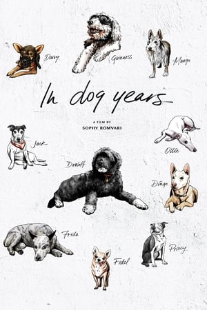 En dvd sur amazon In Dog Years