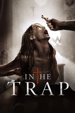 En dvd sur amazon In the Trap