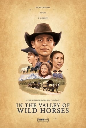 En dvd sur amazon In the Valley Of Wild Horses