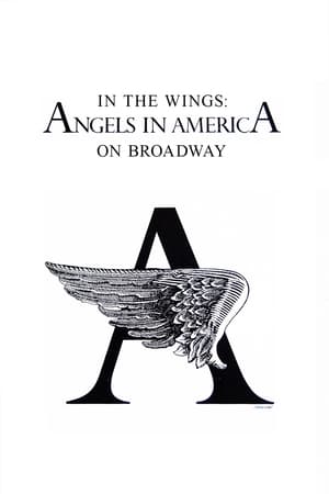 En dvd sur amazon In the Wings: Angels in America On Broadway