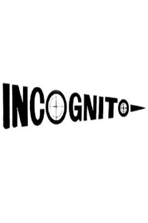 En dvd sur amazon Incognito
