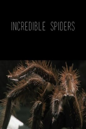 En dvd sur amazon Incredible Spiders