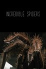 Incredible Spiders