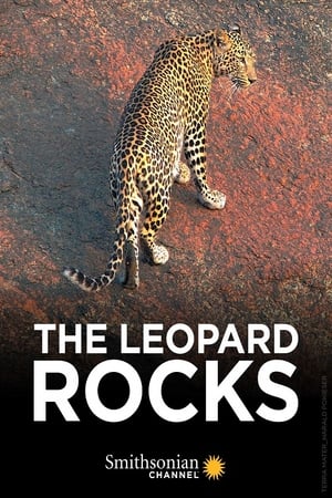 En dvd sur amazon The Leopard Rocks