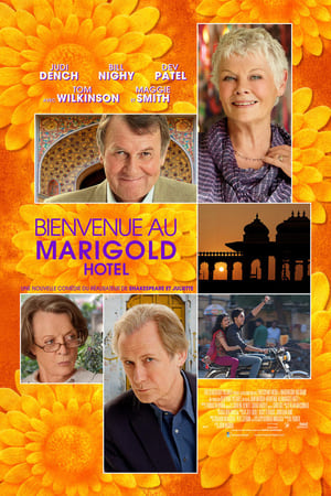 En dvd sur amazon The Best Exotic Marigold Hotel