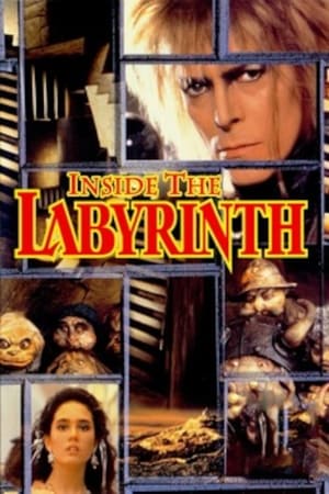 En dvd sur amazon Inside the Labyrinth
