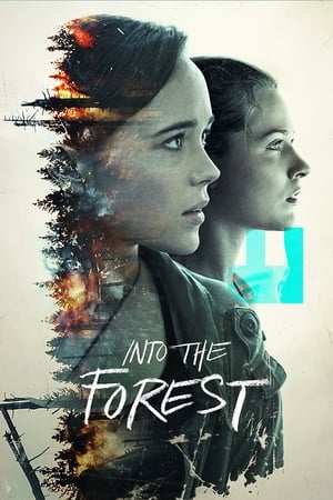 En dvd sur amazon Into the Forest