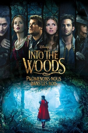 En dvd sur amazon Into the Woods
