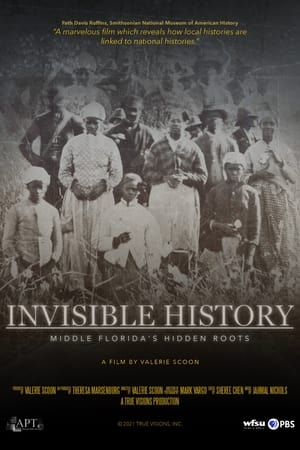 En dvd sur amazon Invisible History: Middle Florida's Hidden Roots